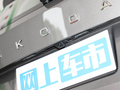 柯迪亚克 图片