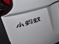 小蚂蚁 图片