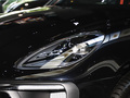 Macan 图片