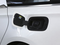瑞风RF8 PHEV 图片