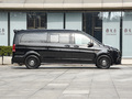 邁莎銳MV600 圖片
