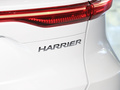凌放HARRIER 圖片