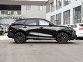 风行T5 EVO 图片