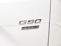 上汽大通MAXUS G50 图片