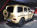 奔驰G级AMG 图片