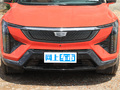 IQ傲歌 图片