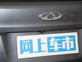 小蚂蚁 图片