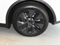 Model Y 图片