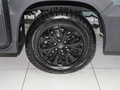 上汽大通MAXUS T90房車 圖片