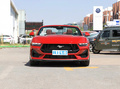 Mustang 图片