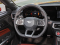 Mustang 图片