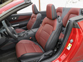Mustang 图片