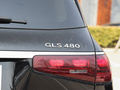 迈巴赫GLS 图片