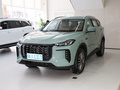 捷途X70 C-DM 图片