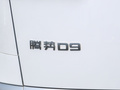 騰勢D9 圖片