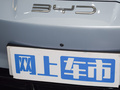 海豹 图片