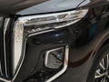 紅旗HQ9 PHEV 圖片