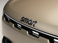 smart精灵#5 图片