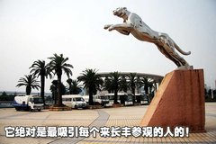 2008款 2.4L 手动 两驱 舒适型 5座