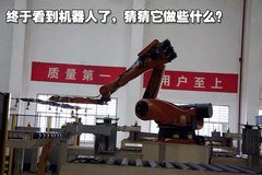 2008款 2.4L 手动 两驱 舒适型 5座