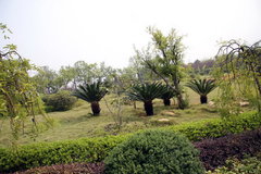 2008款 2.4L 手动 两驱 舒适型 5座