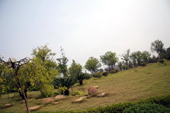 2008款 2.4L 手动 两驱 舒适型 5座