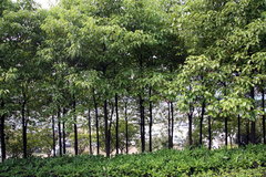 2008款 2.4L 手动 两驱 舒适型 5座