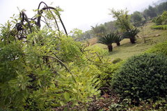 2008款 2.4L 手动 两驱 舒适型 5座