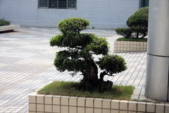 2008款 2.4L 手动 两驱 舒适型 5座