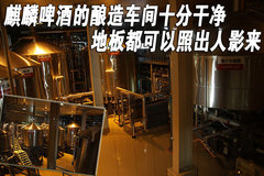 2009款 3.8L 自动 尊贵版