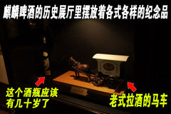 2009款 3.8L 自动 尊贵版