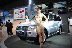 2009款 3.8L 自动 尊贵版
