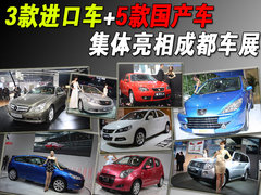 2009款 3.8L 自动 尊贵版