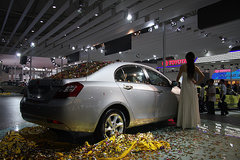 2009款 3.8L 自动 尊贵版