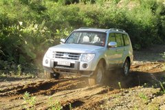 2009款 3.8L 自动 尊贵版