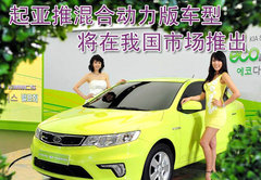 2008款 1.6L 自动 GL