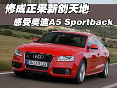 2009款 2.0T coupe