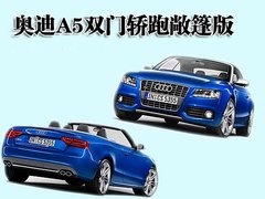 奥迪(进口) A5