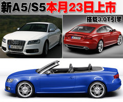 奥迪(进口) A5