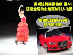 2009款 2.0T coupe