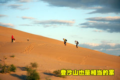 2007款 3.2 手動(dòng) 豪華型 柴油 兩驅(qū)