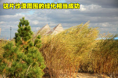 2007款 3.2 手動(dòng) 豪華型 柴油 兩驅(qū)