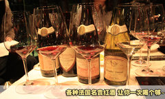 2009款 5.5T 自动 