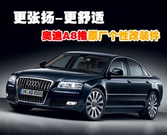 2009款 2.8FSI CVT 标准型