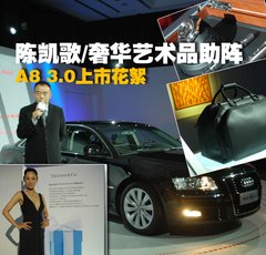 2009款 2.8FSI CVT 标准型