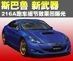 2009款 2.5T 手动 WRX STI