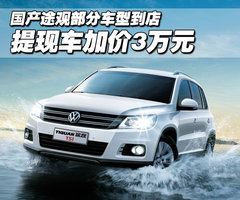 2010款 2.0TSI 自动 四驱旗舰版 5座