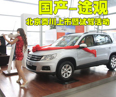 2010款 2.0TSI 自动 四驱旗舰版 5座