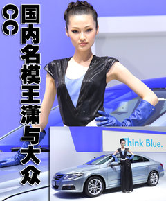 2010款 2.0TSI 自动 四驱旗舰版 5座