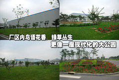 2008款 1.6L 自动 GL 舒适型